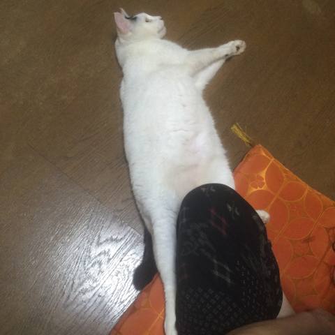 White