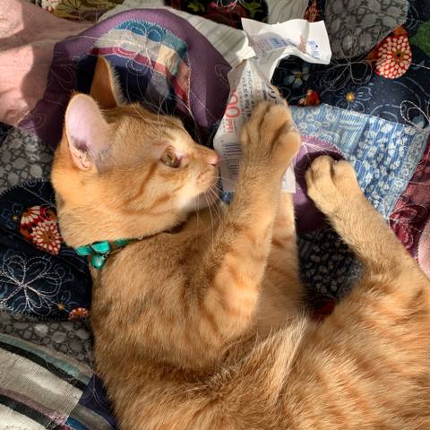 White