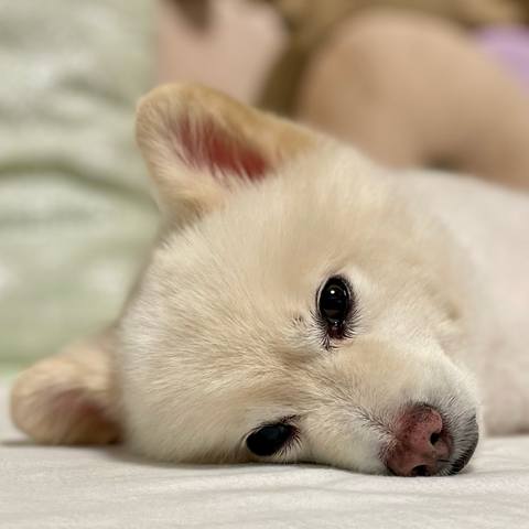 White