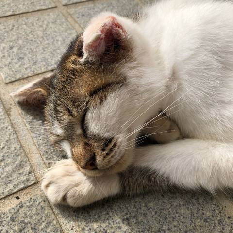 White