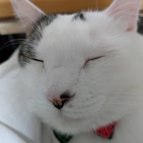White