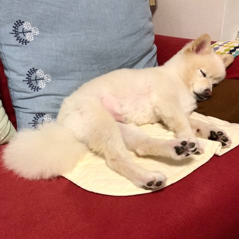 White