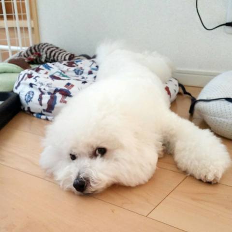 White
