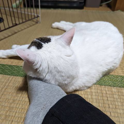 White