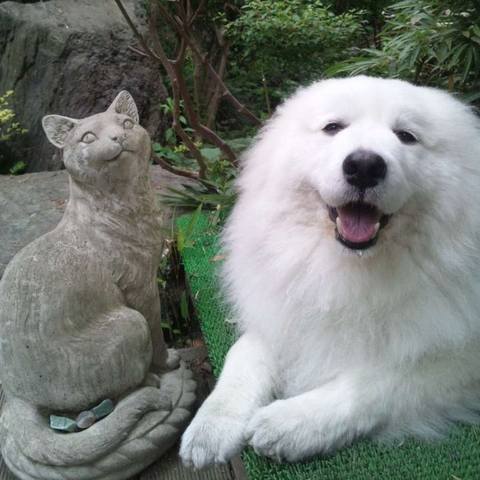 White
