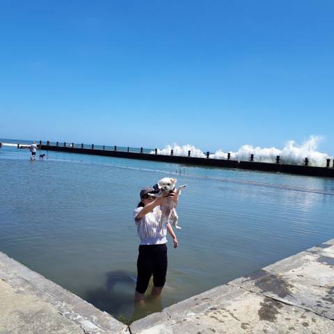 White