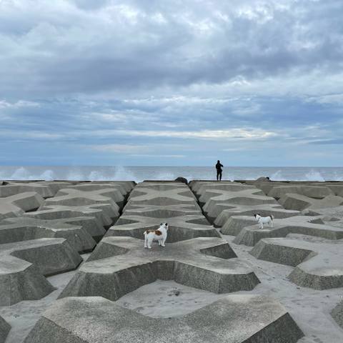 White