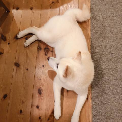 White