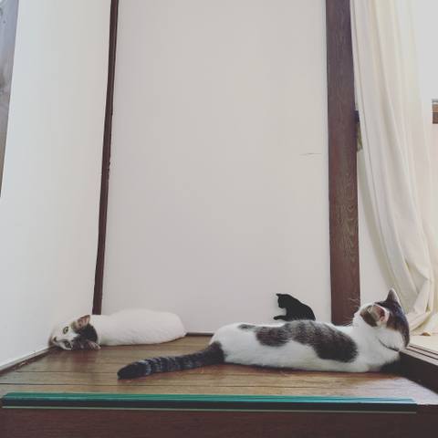 White