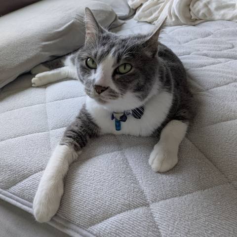 White