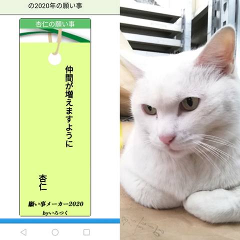 White