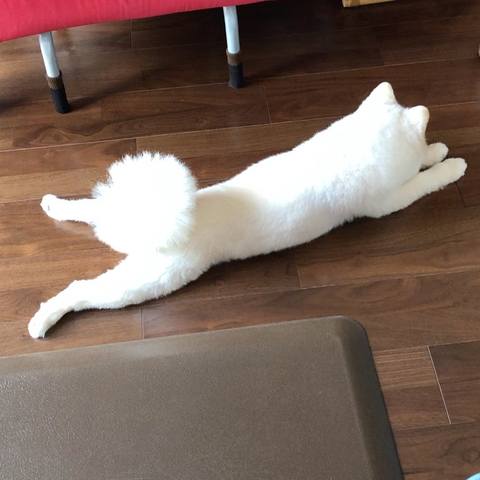 White