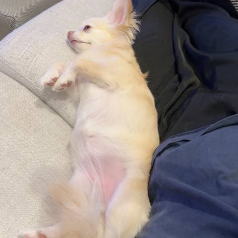 White