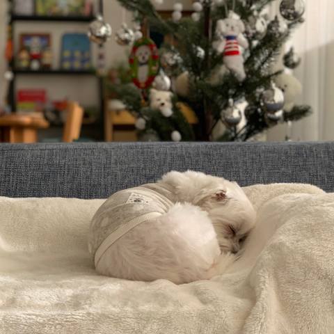 White