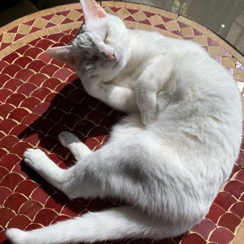 White