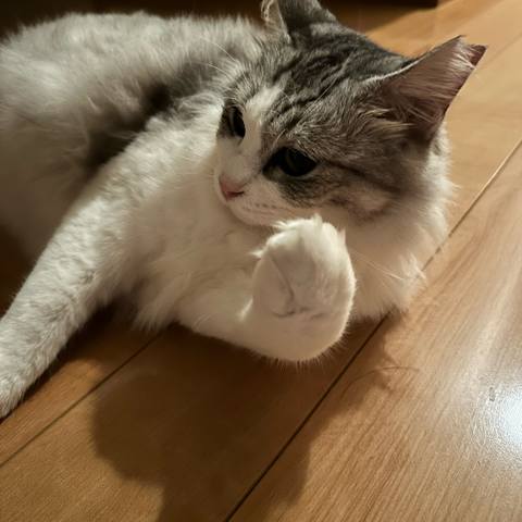 White