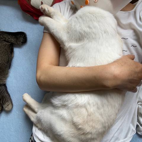 White