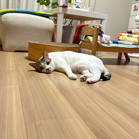 White