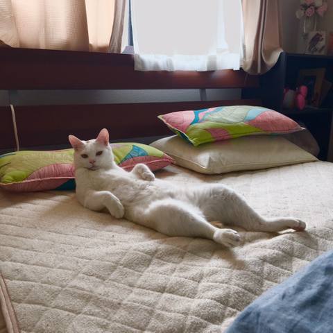 White
