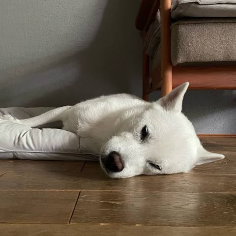 White