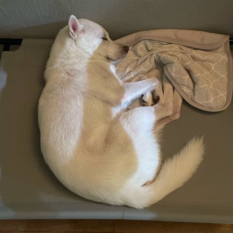 White