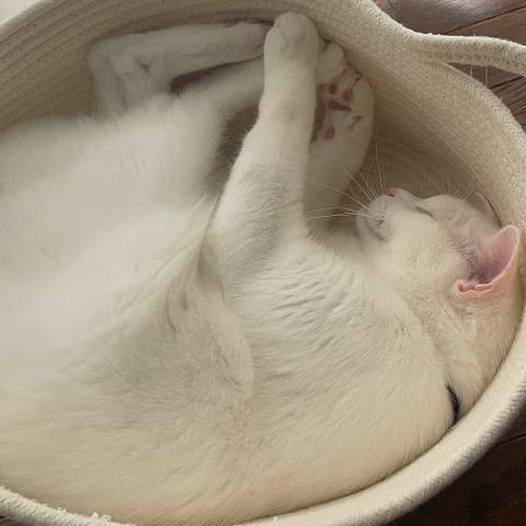 White