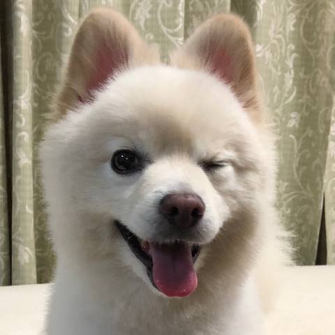 White