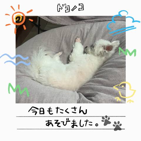 White