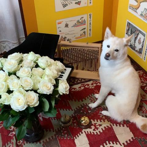 White