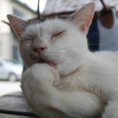 White