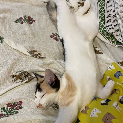 White
