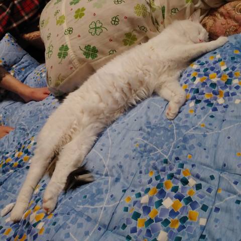 White