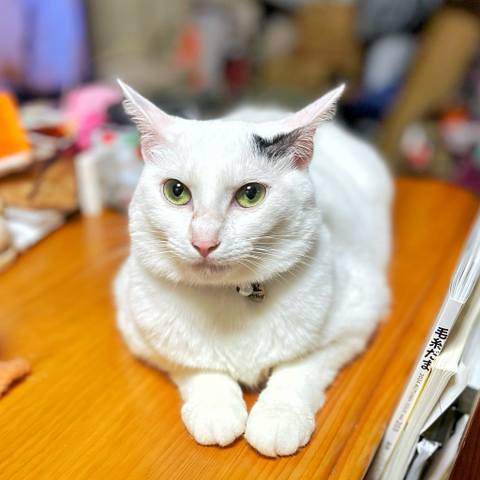 White