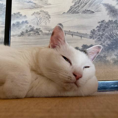 White