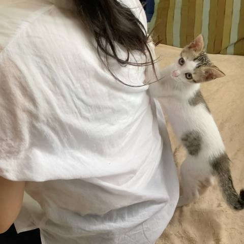 White