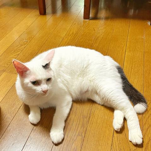 White