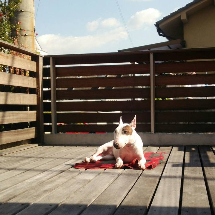 00001da4 95e4 463b 9b9d a6829644379c