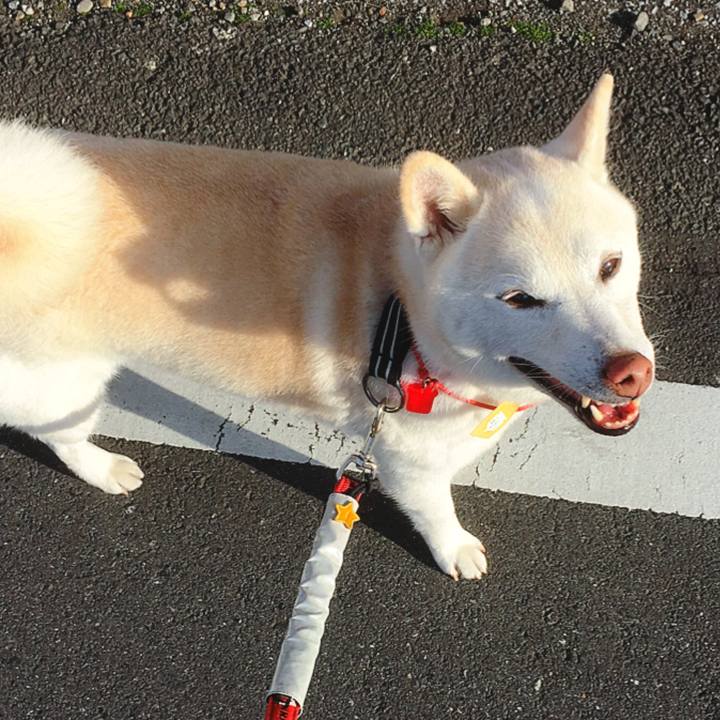 0001108b 46a0 48ee 9d34 21e513897c5d