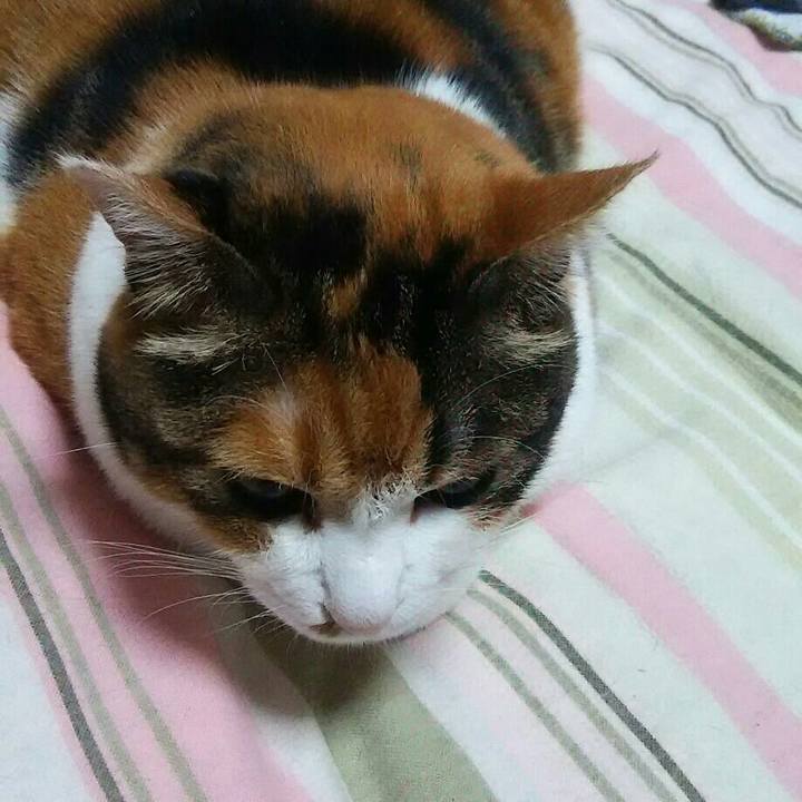 00013623 00e0 47ac 87e9 31554e6f0fca