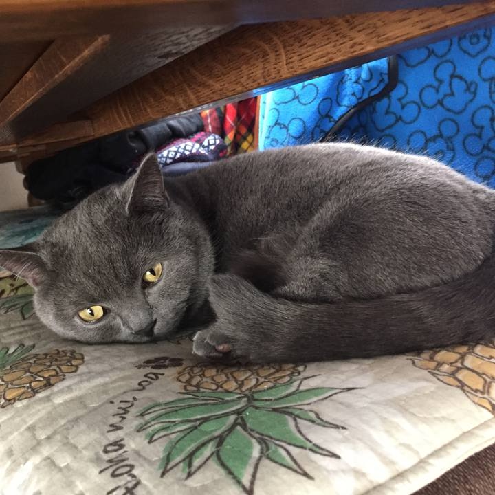 00013ff0 5e9e 4633 ac64 86816f492d0e