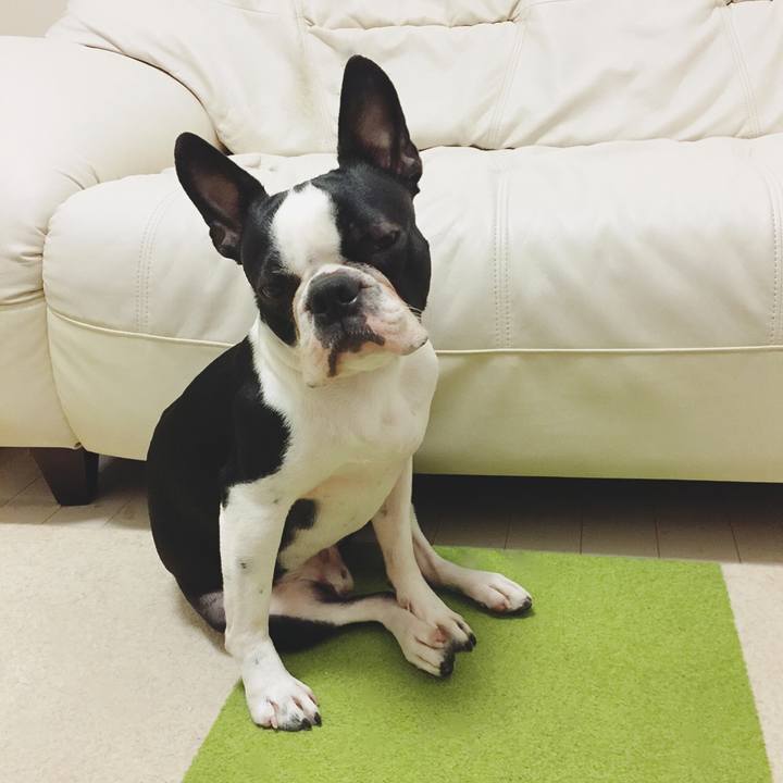 0001cfbc 338a 44e4 9bd1 70f07020618f