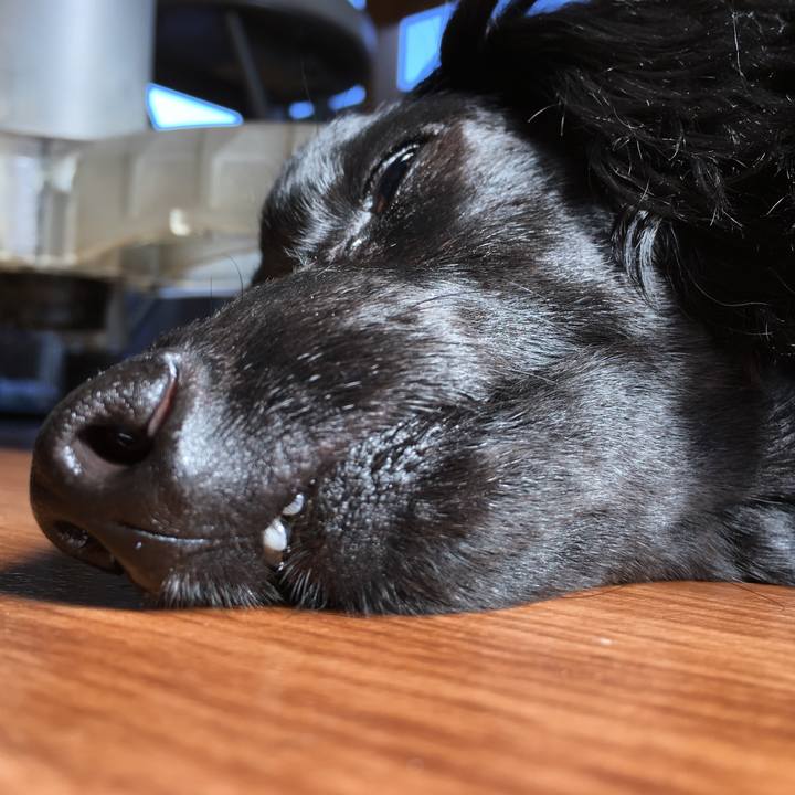 0001f1c1 9e53 4333 9450 ad7388b25f61