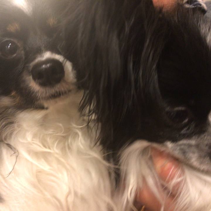 00022a5f 9016 4a74 ba67 ef100c87c6e1