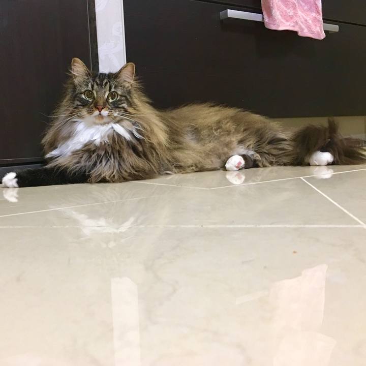 0002a66f f14f 468d 8313 aa4731ac8419