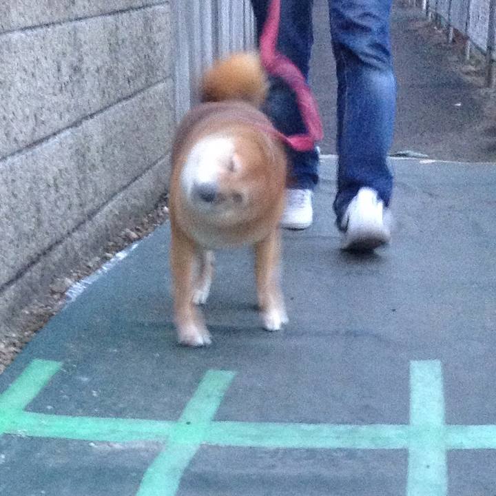 0003e1bc fd75 4127 b192 6672713d2d81