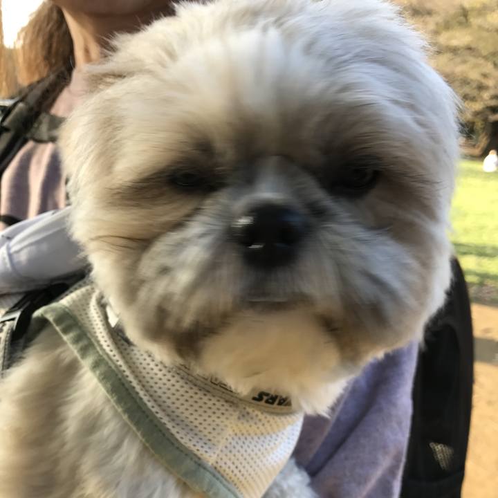 0003efd4 b75b 41c5 8514 c2e5ced9c943