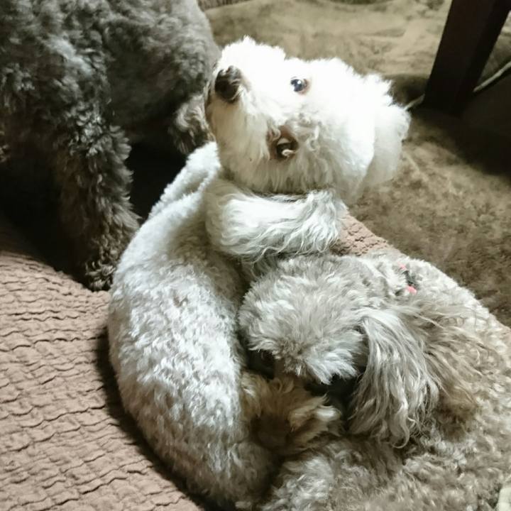 0004facc 5d27 44b1 a47e 922571ddbbb9