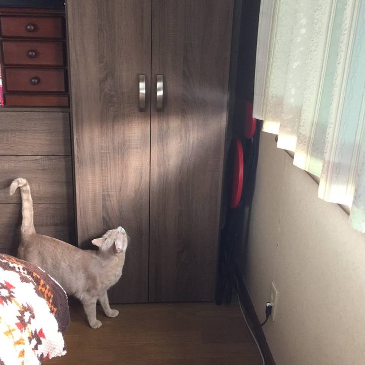 0005769b 923f 4357 a8cf b0120c42791d