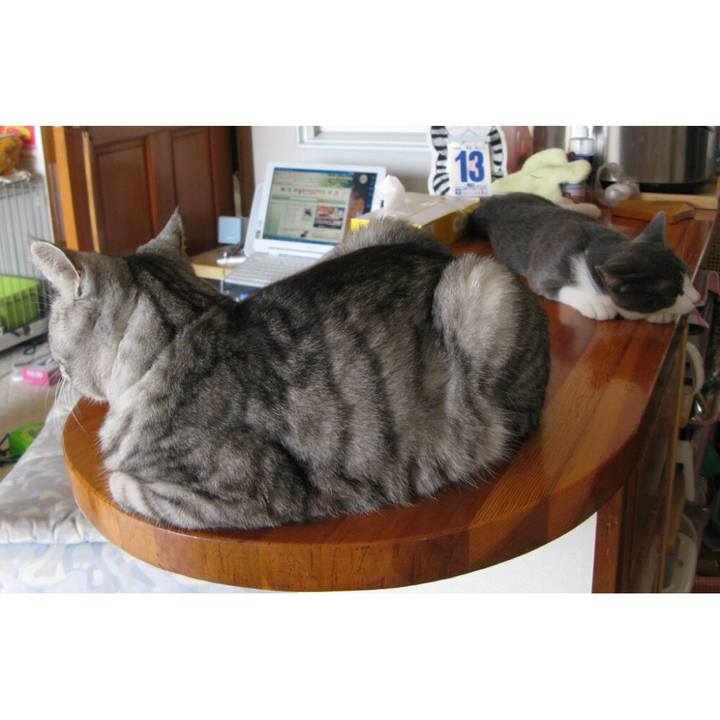 0005907f d8b0 4f3a bd62 5ef6199f687c