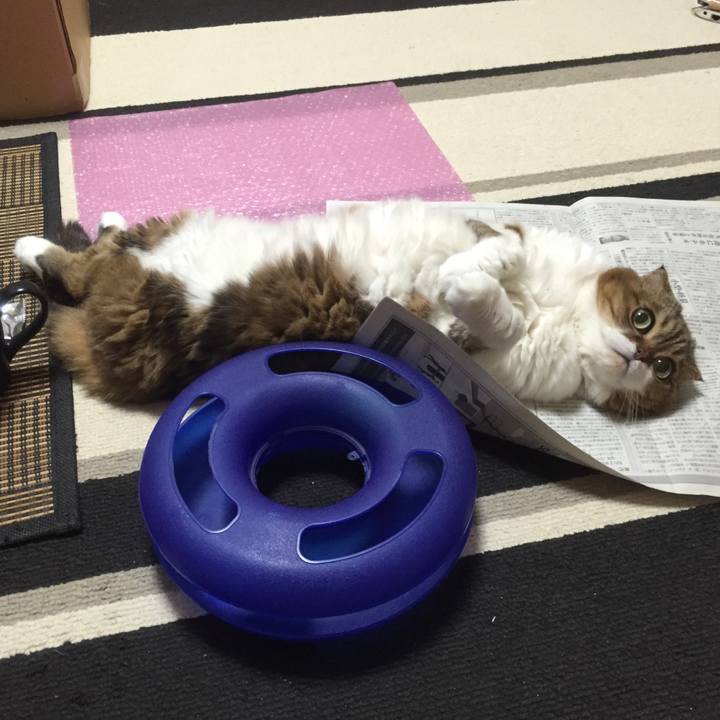 00061b32 d56c 44ab a613 dd4f581b4a2a